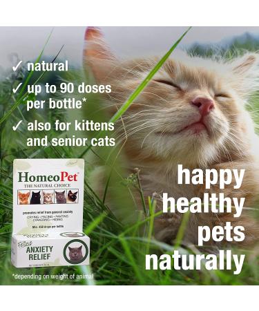 HomeoPet Feline Anxiety Relief - Stress & Anxiety Support for Cats - 15ml - Buy Online on GoSupps.com