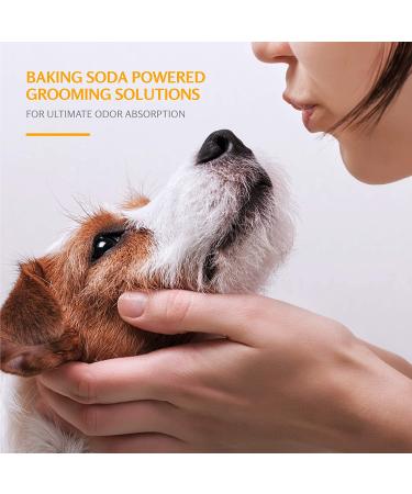 Arm & Hammer Soothing Oatmeal Shampoo for Pets - Vanilla Coconut, 20 fl oz - Buy Online on GoSupps.com