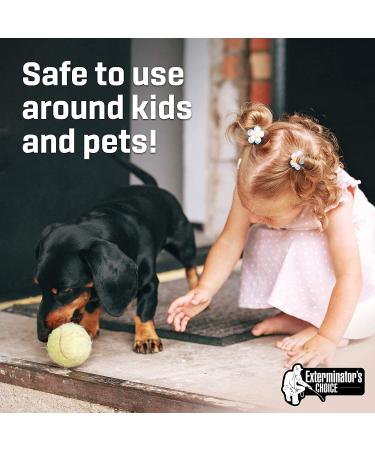 Exterminators Choice Small Rodent Defense Spray (32 oz) - Effective Pest Control Solution - Buy Online on GoSupps.com