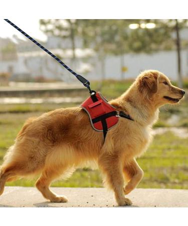 Candure 5 FT Reflective Dog Lead with Soft Padded Handle - Strong Leash for Medium & Large Dogs - Buy Online on GoSupps.com