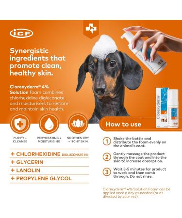 Clorexyderm 4% Foam Mousse Dry Shampoo for Dogs & Cats - Antibacterial & Antifungal - 100 ml - Relieves Dry Itchy Skin, Moisturizes & Softens Coat - Buy Online on GoSupps.com