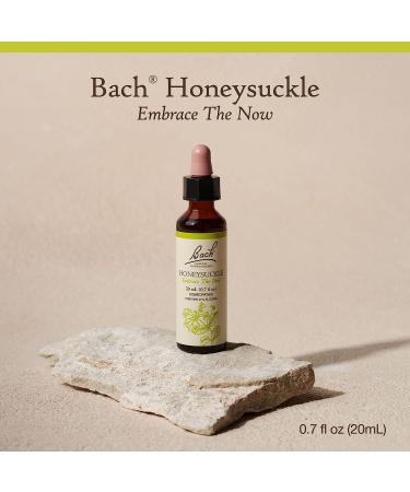 Bach Original Flower Remedies Honeysuckle 20mL - Embrace the Now, Holistic Wellness, Vegan - Buy Online on GoSupps.com
