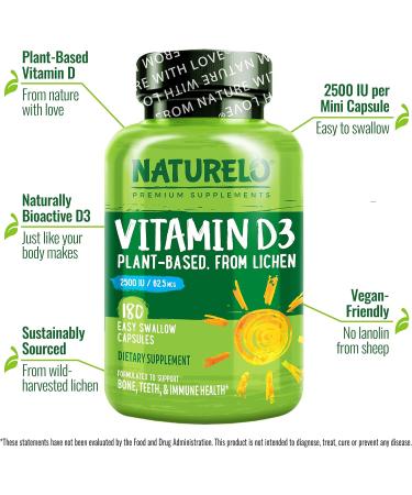 NATURELO Vitamin D - Plant Based from Lichen - 180 Mini Capsules Vegan B12 1000 mcg Methylcobalamin - 90 Capsules - Buy Online on GoSupps.com