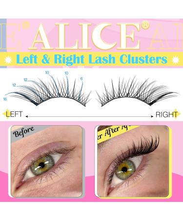 ALICE Natural Lash Clusters - DIY Eyelash Extensions | Wispy 3D Cat Eye C Curl Individual Lashes - Buy Online on GoSupps.com