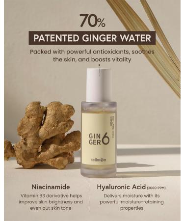 Ginger6 Face Serum - 70% Ginger Water Deep Hydration with Niacinamide and Hyaluronic Acid Revitalizing Korean Skincare for Glowing Skin 1 fl oz - Buy Online on GoSupps.com