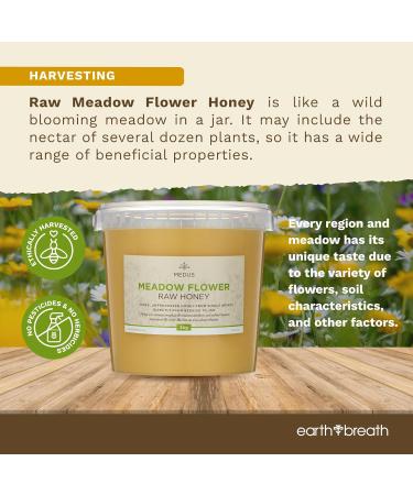 Earthbreath Miel brut de fleurs de prairie 3 kg Biologique pur non pasteuris et non filtr Superaliments sains dulcorant naturel pour la cuisine le caf le th le jus les boissons - Buy Online on GoSupps.com