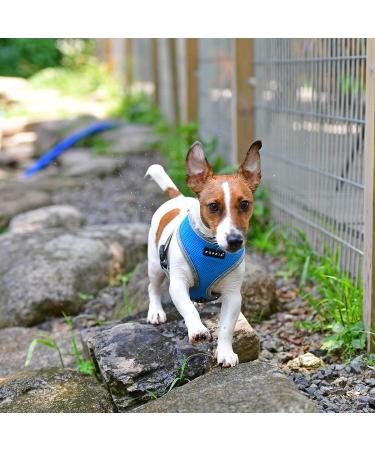 Puppia Soft Dog Harness for Small & Medium Dogs - Comfortable Adjustable Soft Harness II in Sky Blue - Buy Online on GoSupps.com