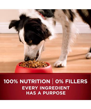 Purina ONE True Instinct High Protein Natural Dry Dog Food with Turkey & Venison - 7.4 lb Bag - Buy Online on GoSupps.com