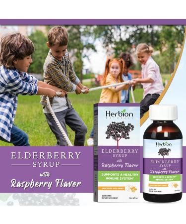 Herbion Naturals Elderberry Syrup - Immune Support for Adults & Kids Honey Sweetened Natural Raspberry Flavor - Shop Now! - Buy Online on GoSupps.com