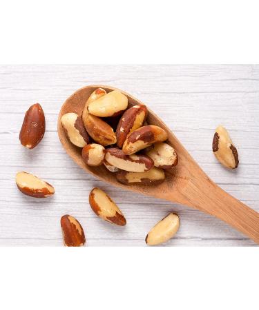 1lb Unsalted Dry Roasted Brazil Nuts - Oven Roasted, Shelled, Vegan & Kosher - Bulk Nut Snack Rich in Protein & Essential Fatty Acids - Buy Online on GoSupps.com