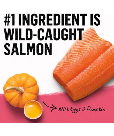 Purina Beyond Natural Adult Dog Food - Superfoods Salmon & Pumpkin Blend - 14.5 lb Small Breed - Buy Online on GoSupps.com