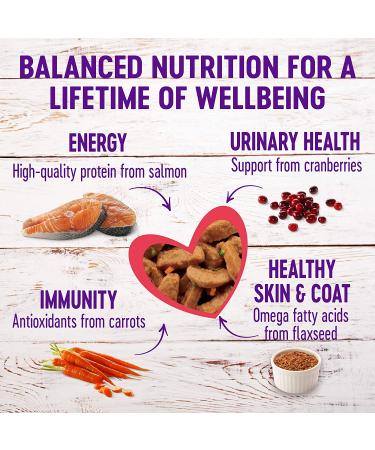 Wellness Complete Grain-Free Wet Cat Food - Salmon Sliced Cuts in Gravy, Natural & Healthy, 5.5oz (Pack of 24) - Buy Online on GoSupps.com