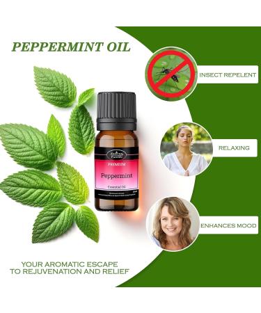 Peppermint Essential Oil - 100% Natural for Hair and Skin | Headache Relief | 100ml - Buy Online on GoSupps.com
