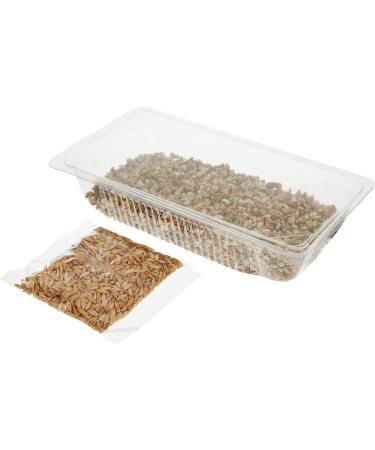 Webbox Cat Grass Kit 120g - Buy Online on GoSupps.com