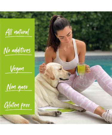 Dr. Zisman ZT Slimming Tea Matcha-Coconut Detox Blend - 28 Tea Bags for Weight Loss, Antioxidant Effects, Mood Enhancement, and Improved Concentration - Buy Online on GoSupps.com