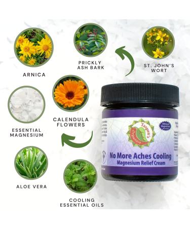 Taspen's Organics Magnesium No More Aches Cooling Cream - Fast-Acting Muscle & Joint Relief - Natural Non-Greasy & Cruelty-Free - 9 oz - Buy Online on GoSupps.com
