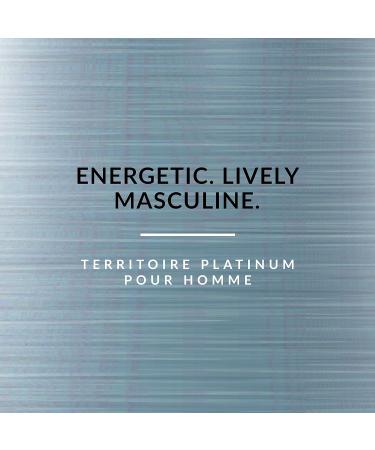 Territoire Eau De Parfum Men's Cologne (Platinum) - Buy Online on GoSupps.com