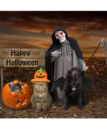 RANYPET Dog Bat Costume - Halloween Pet Costume with Bat Wings for Dogs & Cats | Perfect for Parties & Cosplay - Buy Online on GoSupps.com