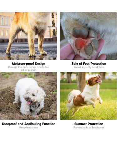 20Pcs Disposable Dog Boots for Small and Medium Dogs | Waterproof Paw Protection with Adjustable Straps | Puppy Shoes for Outdoor Adventures | Size L (2.5 - 3 Width) - Buy Online on GoSupps.com