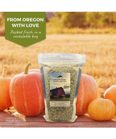 Roasted Salted Pumpkin Seeds - 24 oz Resealable Bag - Packed With Protein - Healthy Keto, Whole30, Paleo Snack - Vegan & Gluten-Free - Buy Online on GoSupps.com