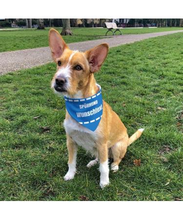 Custom Dog Scarf with Name | Printplanet Sniffer Dog Scarf - Size M for International Shipping - Buy Online on GoSupps.com