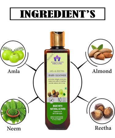 Blessfull Healing Organic Amla & Reetha Hair Cleanser | Shampoo 200 ML (Packing May Vary) - Buy Online on GoSupps.com