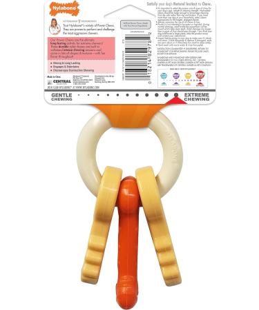 Nylabone Power Chew Dog Toy Keys Bacon Flavour Small/Regular - For Dogs up to 11kg 1 Count (Pack of 1) - Buy Online on GoSupps.com