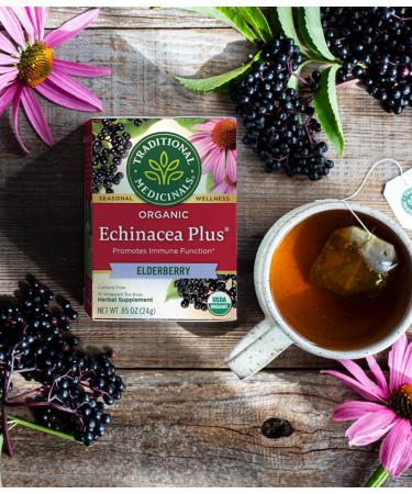 Traditional Medicinals Organic Echinacea Elderberry Herbal Tea - 32 Tea Bags Total, Immune Function Support, Pack of 2 - Buy Online on GoSupps.com