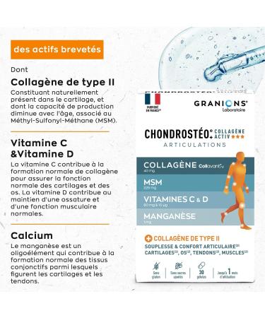 GRANIONS | Chondrosteo+ Collagen Activ' | Contributes to flexibility and joint comfort | Mobility flexibility bone capital | Collagen Vitamin C Manganese | 30 Capsules - Buy Online on GoSupps.com