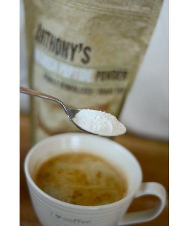 Anthony's 1lb Collagen Peptide Powder - Pure Hydrolyzed, Gluten Free, Keto & Paleo Friendly, Grass Fed, Unflavored, Non GMO - Buy Online on GoSupps.com