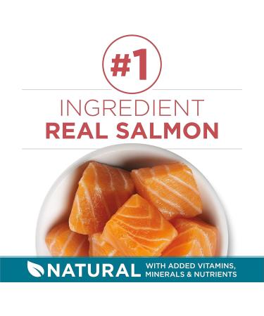 Purina ONE Dry Cat Food Salmon & Rice Formula - 1.59 kg Bag 1.59 kg (Pack of 1) - Buy Online on GoSupps.com