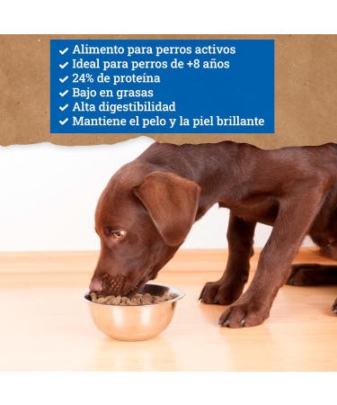 YERBERO Nature Adult+8 Light Premium Food for Dogs 10 kg - Buy Online on GoSupps.com