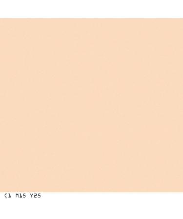 COVERGIRL Smoothers Pressed Powder Translucent Light, 0.32oz - Packaging May Vary - Buy Online on GoSupps.com