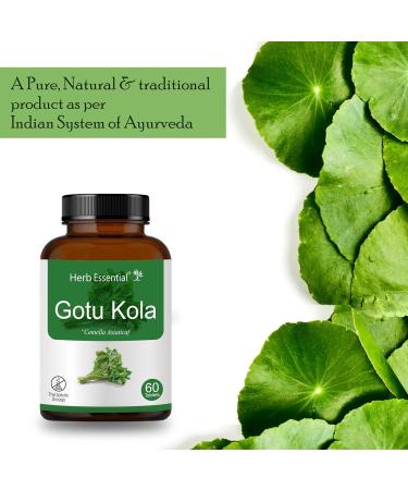 Herb Essential Organic Gotu Kola (Centella Asiatica) 500mg Vegetarian 60 Tablets Gluten Free Supplement with No Added Colors Flavors and Preservatives - Buy Online on GoSupps.com