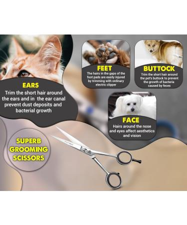 ARSUK 7-inch Dog Grooming Scissors - Stainless Steel Pet Hair Cutting Shears - Buy Online on GoSupps.com