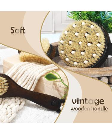 5 Pcs Dry Brushing Body Brush Set - Exfoliating Massager with Soft and Stiff Bristles for Cellulite, Feet, and Back - Long Handle Face Scrubber for Shower Bath - Buy Online on GoSupps.com