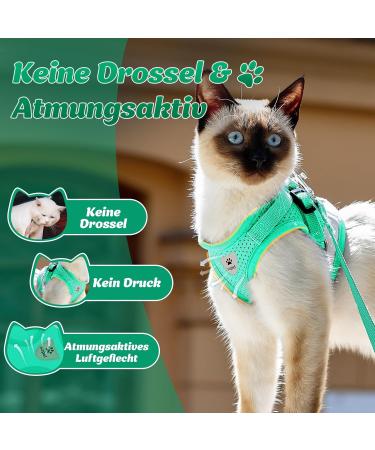 Soft Cat Dishes & Vests for Kittens & Small Dogs - Supet Lime Green - International Shipping Available - Buy Online on GoSupps.com