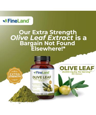 FineLand Olive Leaf Extract 50x 25 000mg Eq. per Serving | 160 Vegan Caps Olive Extract with 20% Oleuropein | Herbal Antioxidant Supplement for Circulatory and Immune Support Made in USA - Buy Online on GoSupps.com