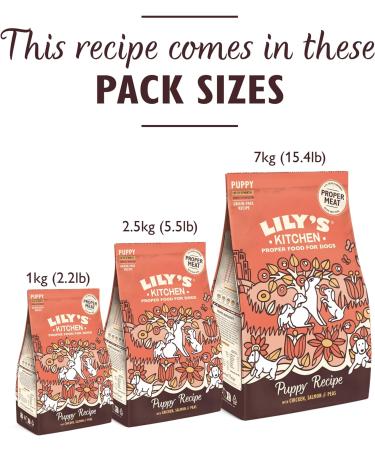 Lily's Kitchen Made with Natural Ingredients Puppy Dry Dog Food Chicken Salmon & Peas Grain-Free Recipe 2.5kg Chicken & Salmon 2.5 kg (Pack of 1) - Buy Online on GoSupps.com