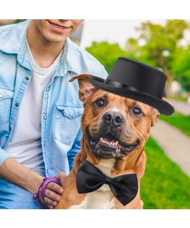 Yewong 2 Pieces Pet Formal Accessories Set - Pet Top Hat with Pet Formal Necktie/Bowtie Birthday Party Gradation Halloween Costumes Accessories for Dog Cat (Black-A) - Buy Online on GoSupps.com