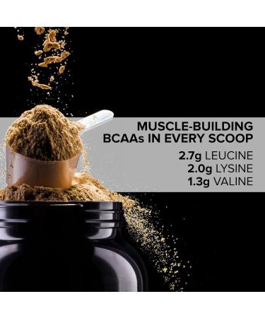 Buy V-Power Plant-Based Protein Powder - Vanilla Surge (1kg) | 26g Protein BCAAs & EAAs Zero Fat/Sugar Dairy-Free All Natural - 29 Servings - Buy Online on GoSupps.com