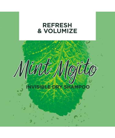 Garnier Fructis Dry Shampoo Mint-MOJITO 200 Milliliters - Buy Online on GoSupps.com