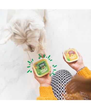 Edgard & Cooper Lamb & Beef Wet Food with Carrot & Apple for Adult Dogs - Buy Online on GoSupps.com