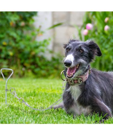 Shawfly Premium Steel Dog Stake & Cable Tie - 3m 5m 10m for Outdoor & Camping - Ideal for Medium Dogs & Puppies - Buy Online on GoSupps.com