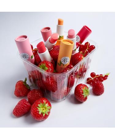 RogerGallet Roger & Gallet Lip Balm Sublimateur Fig Blossom nourishing care and natural shine fig gourmande flavor 98 natural vegan made in France 35 g - Buy Online on GoSupps.com