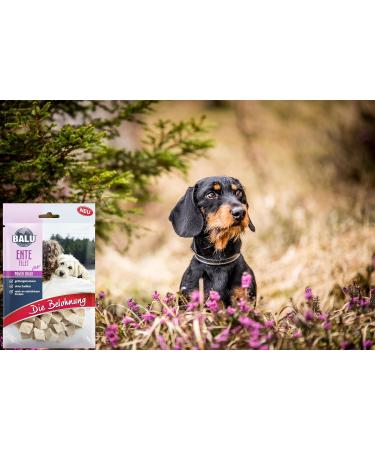 BALU Freeze-dried dog treats grain-free and sugar-free 100% natural 100% meat duck 50 g bag (3) - Buy Online on GoSupps.com
