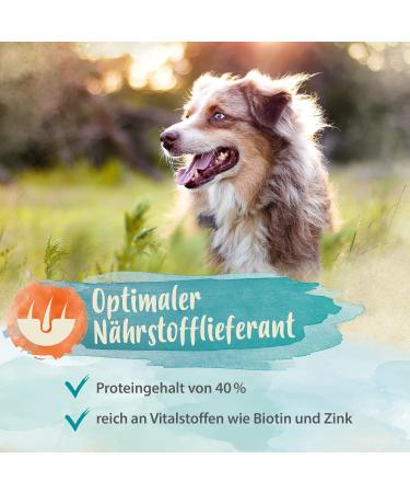 Ida Plus Beer Yeast Powder 500g - 100% Natural Dog Cat & Horse Supplement for Shiny Fur & Healthy Skin - Rich in B Vitamins & Minerals - Buy Online on GoSupps.com