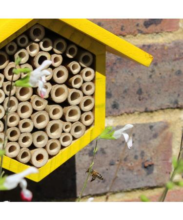 Bee Hotel with Wildflower Seeds - Boost Solitary Mason Bee Population with Yellow Bee House - Buy Online on GoSupps.com