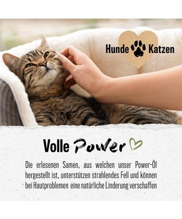 Alphazoo Premium Evening Primrose Oil for Dogs & Cats 250ml | Cold-Pressed Omega-6 & Omega-9 Feed Oil for Shiny Fur - Buy Online on GoSupps.com