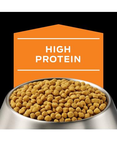 Purina Pro Plan Veterinary OM Overweight Management Canine Formula Dry Dog Food 6 lbs - Buy Online on GoSupps.com